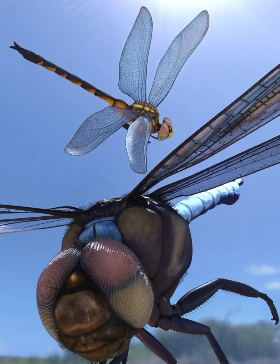 Meshworkz Dragonfly_DAZ3DDL
