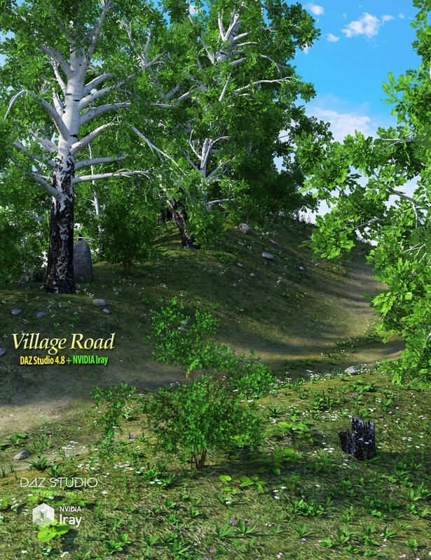 Village Road for Daz Studio_DAZ3DDL