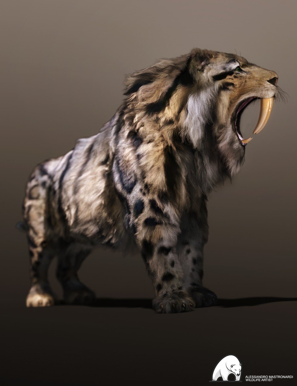 Felidae by AM – Smilodon Populator_DAZ3D下载站