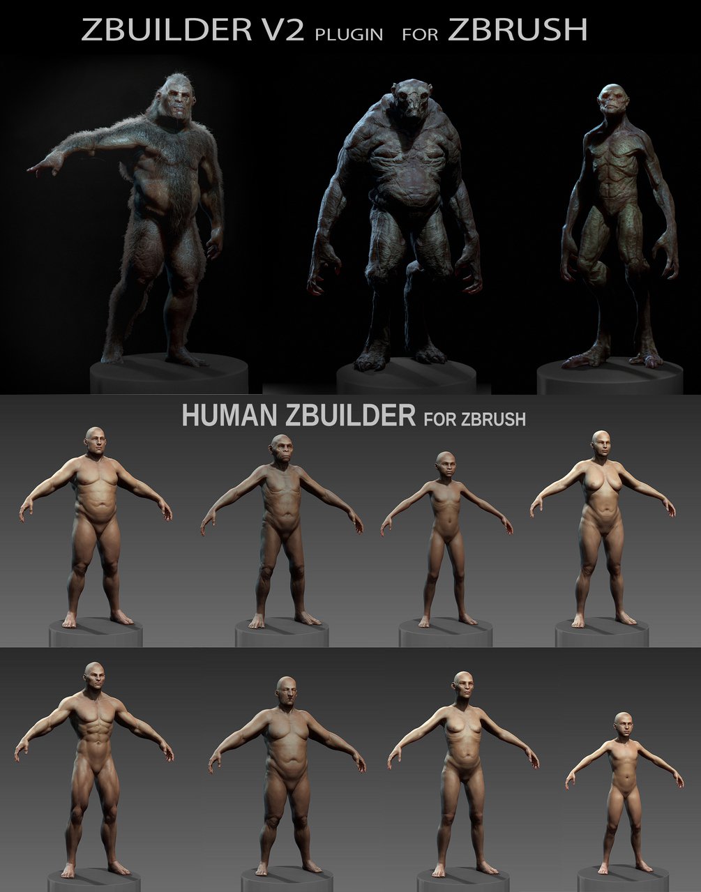 HumanZbuilder v2_DAZ3D下载站