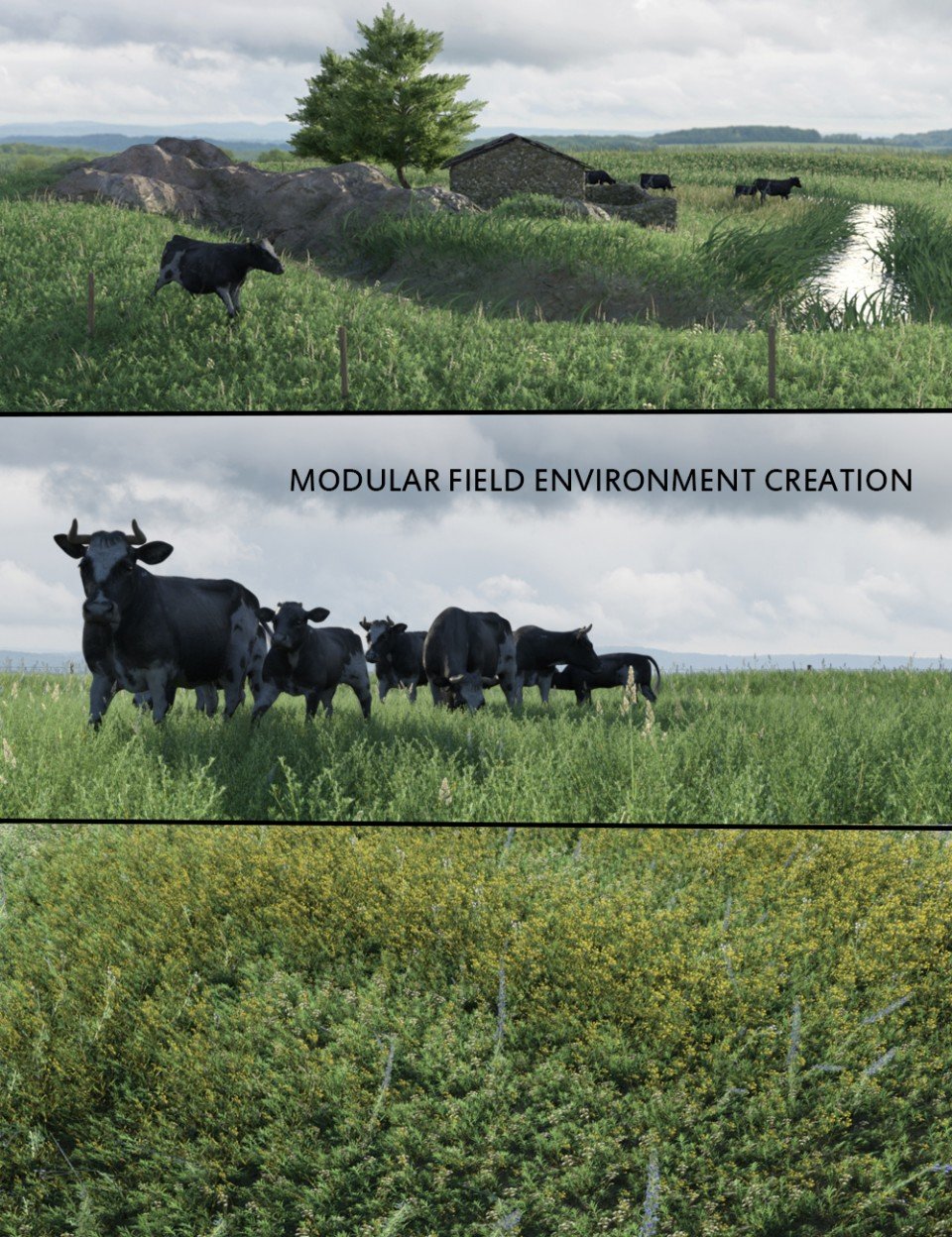 Modular Field Environment_DAZ3D下载站
