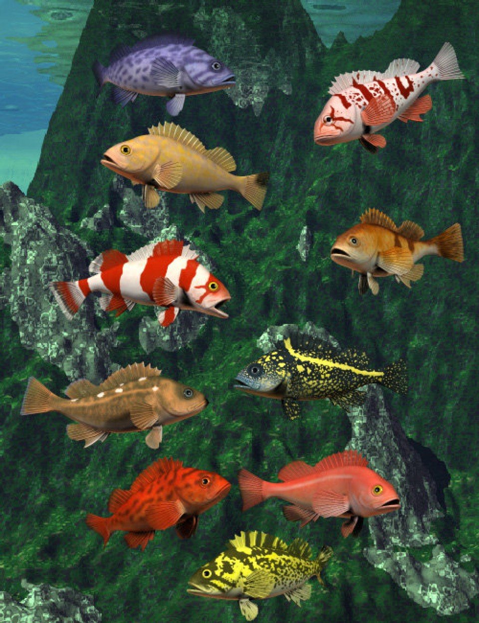 Pacific Rockfish Collection_DAZ3D下载站