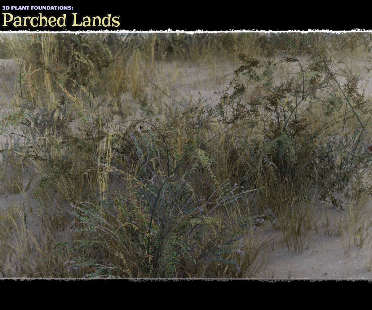 Plant Foundations: Parched Lands_DAZ3DDL