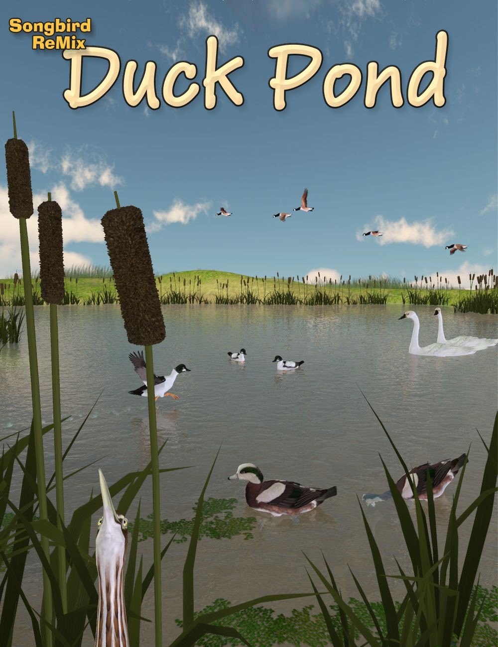 SBRM Duck Pond_DAZ3D下载站