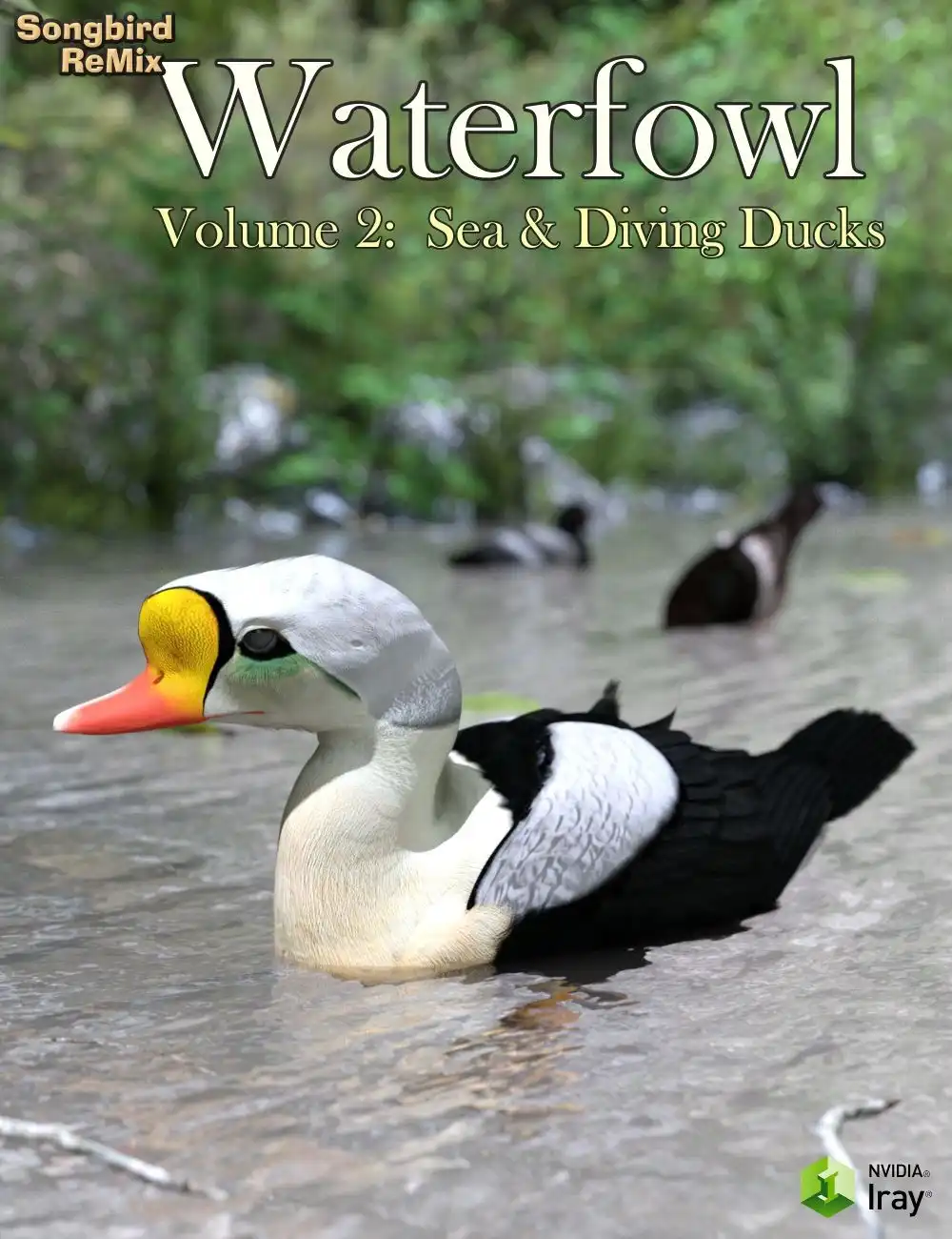 SBRM Waterfowl Vol 2 – Sea & Diving Ducks_DAZ3DDL