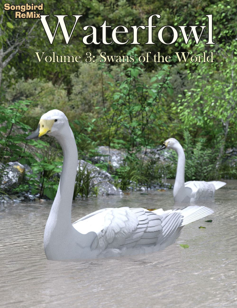 SBRM Waterfowl Vol 3 – Swans of the World_DAZ3D下载站