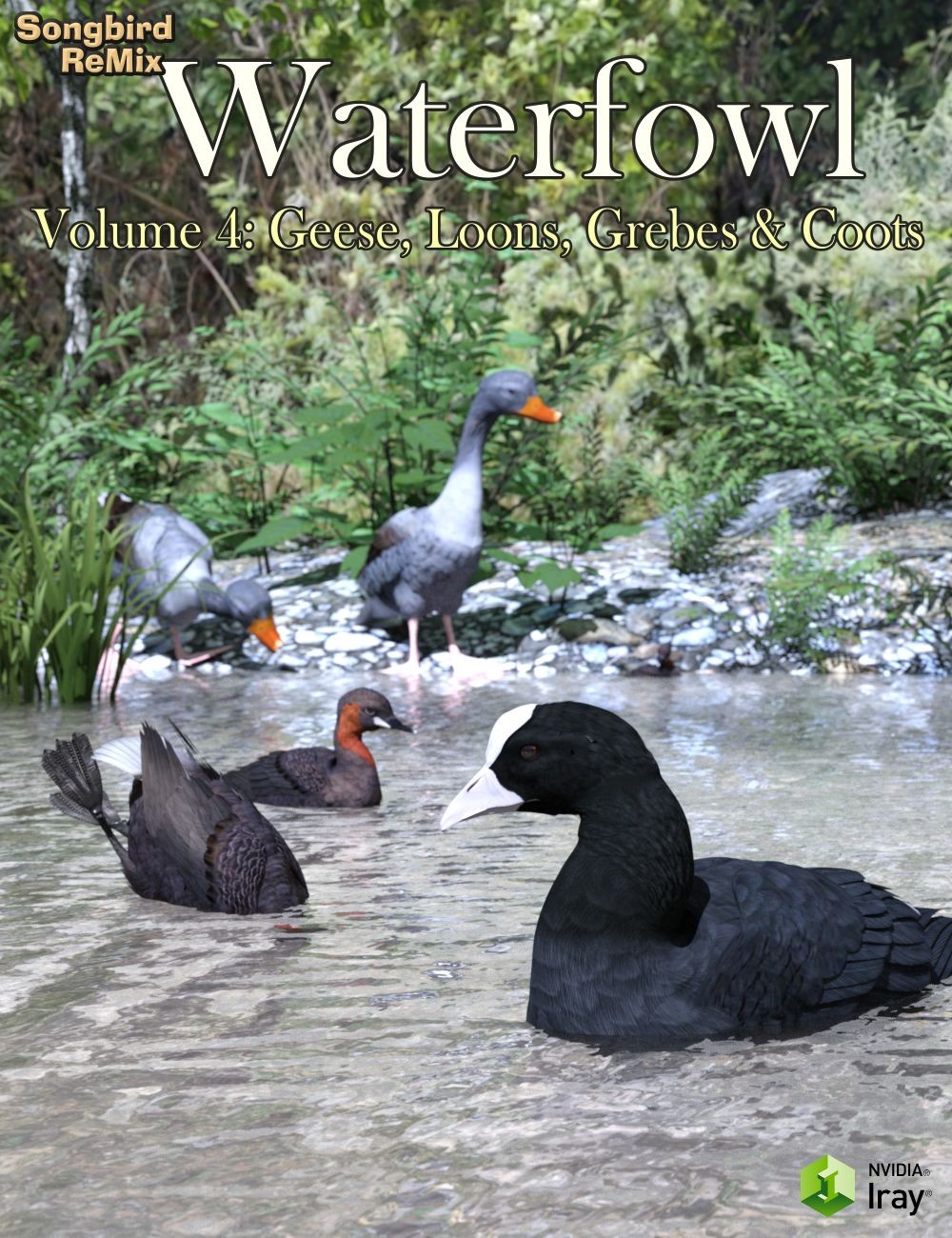 SBRM Waterfowl Vol 4 – Geese, Loons, Grebes & Coots_DAZ3DDL