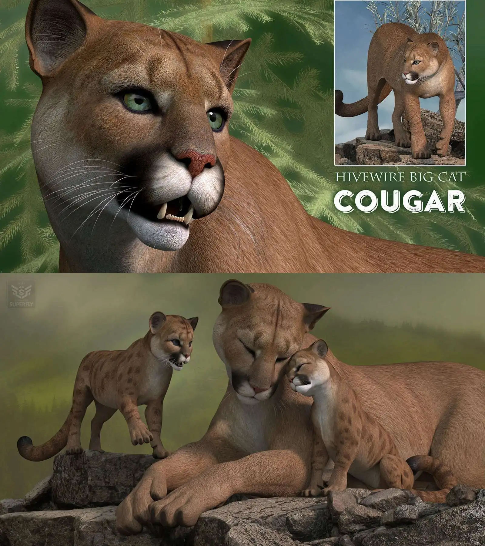 HiveWire Cougar_DAZ3D下载站