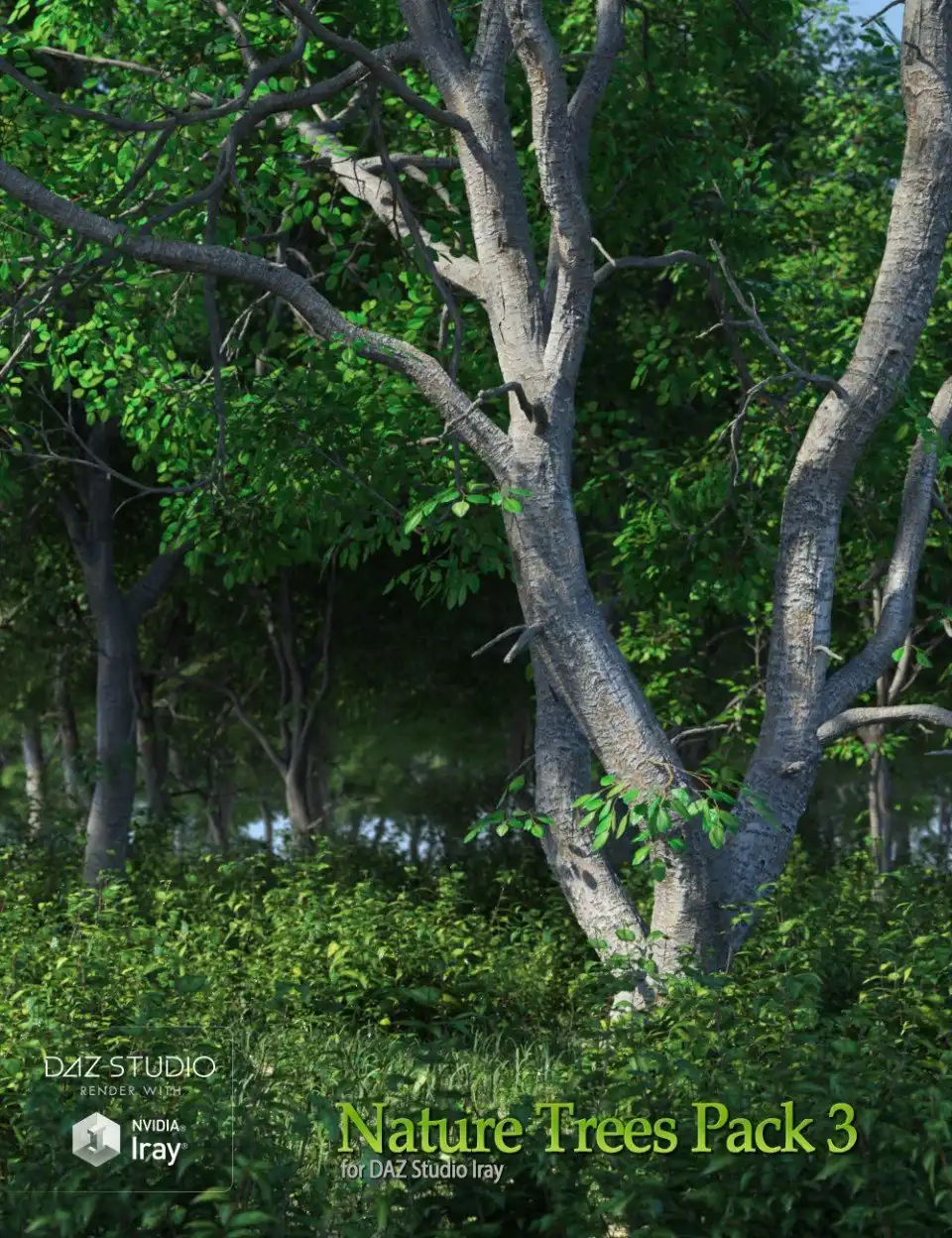 Nature Trees Pack 3_DAZ3DDL