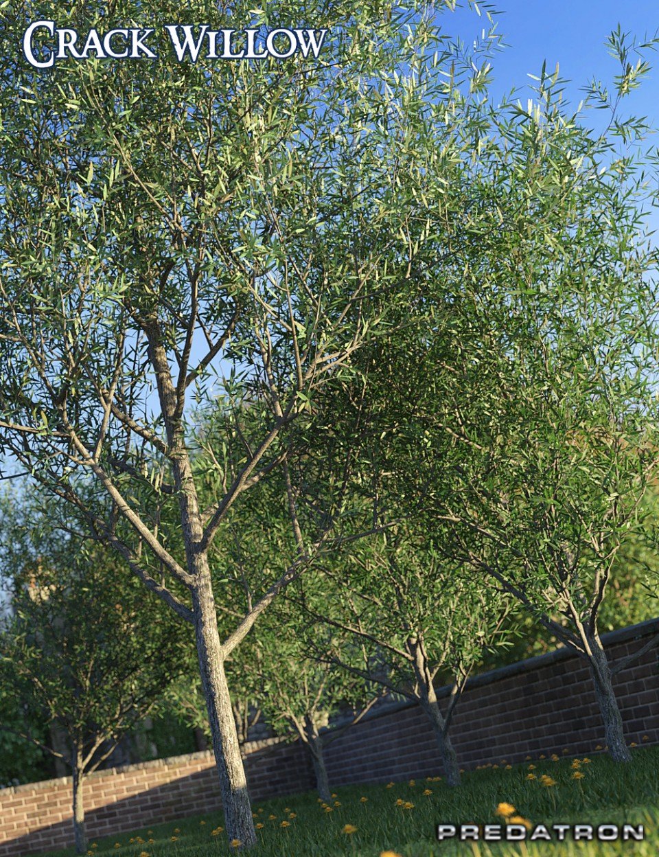 Predatron Crack Willow Trees_DAZ3DDL