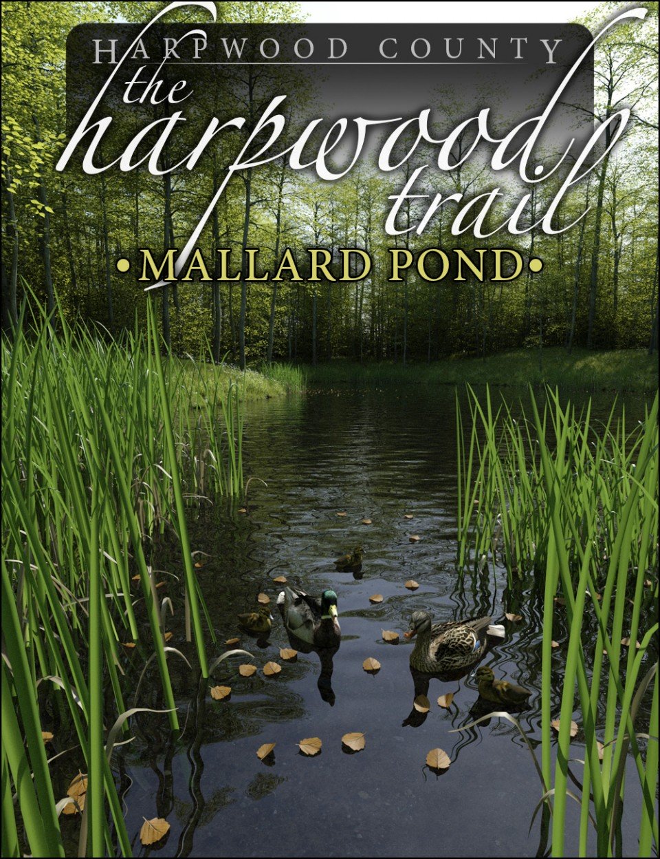 The Harpwood Trail – Mallard Pond_DAZ3D下载站