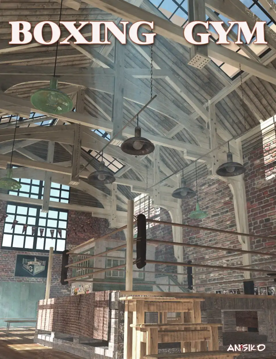 Boxing Gym_DAZ3D下载站