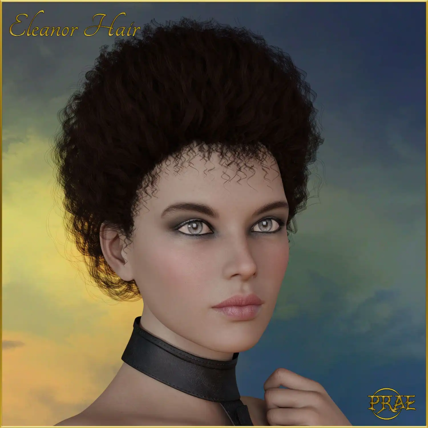 Prae-Eleanor Hair G3/G8 Daz_DAZ3DDL