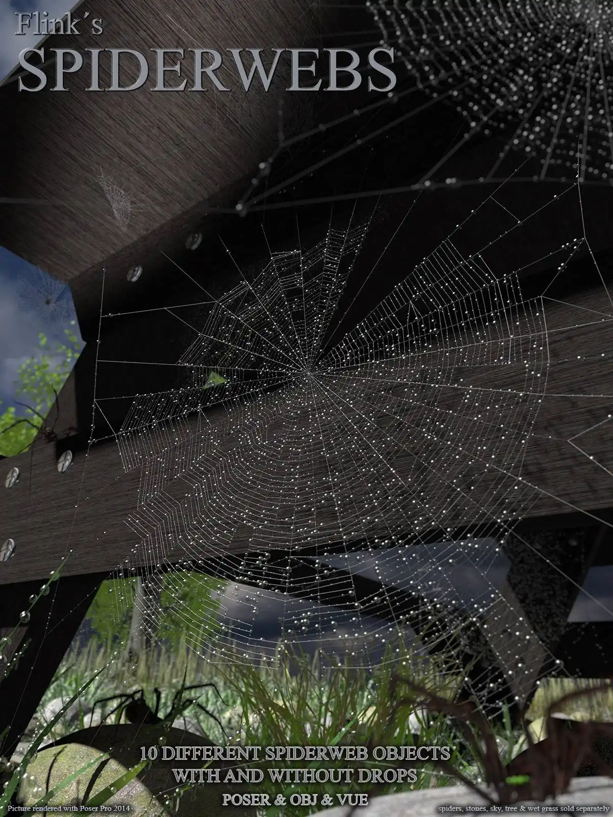 Flinks Spiderwebs_DAZ3DDL