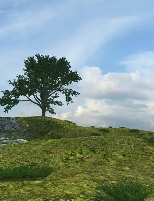 Versatile Terrain_DAZ3DDL