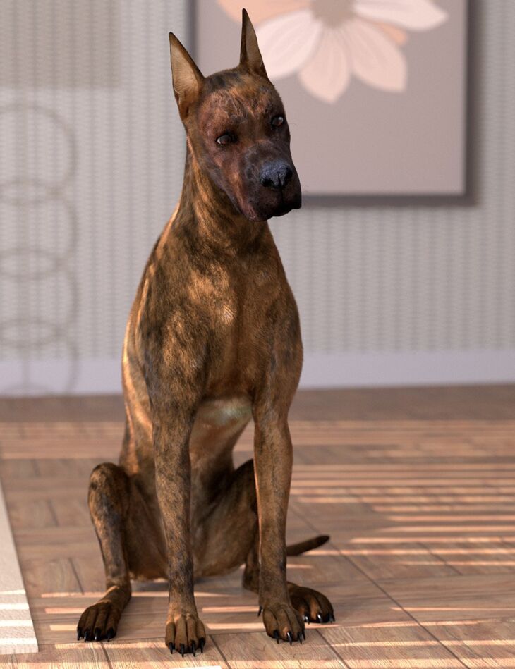 Oso Dog Fur for Daz Dog 8_DAZ3D下载站