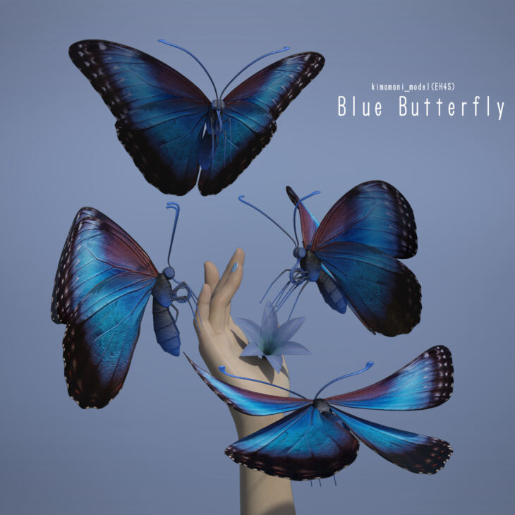 Blue Butterfly_DAZ3D下载站