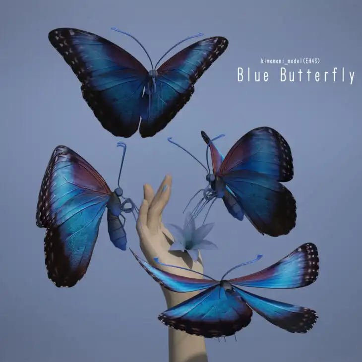 Blue Butterfly_DAZ3DDL