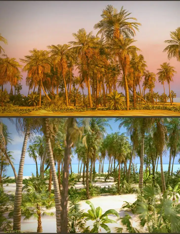 Tropical Beach_DAZ3D下载站