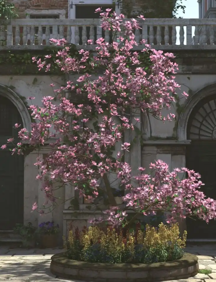 Magnificent Magnolia Trees_DAZ3DDL