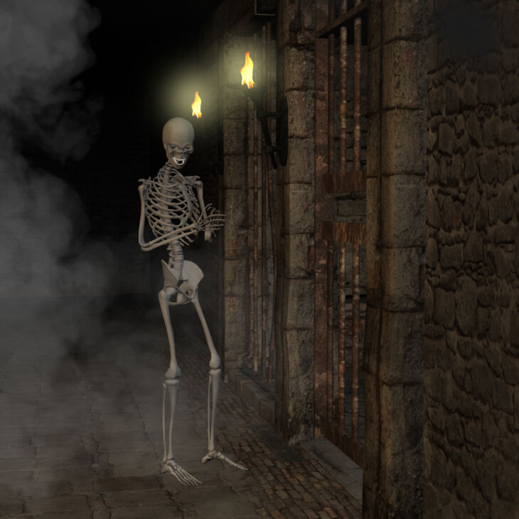 Skeleton for G8F_DAZ3D下载站
