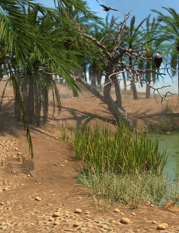 Desert Diorama for Iray_DAZ3DDL