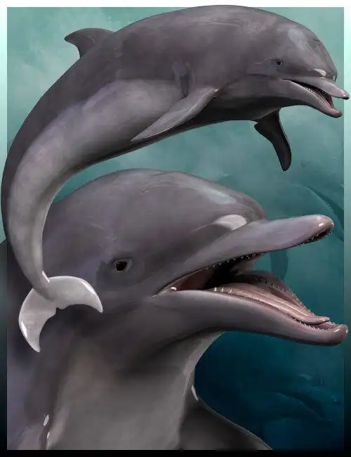 Dolphin & Poses_DAZ3D下载站