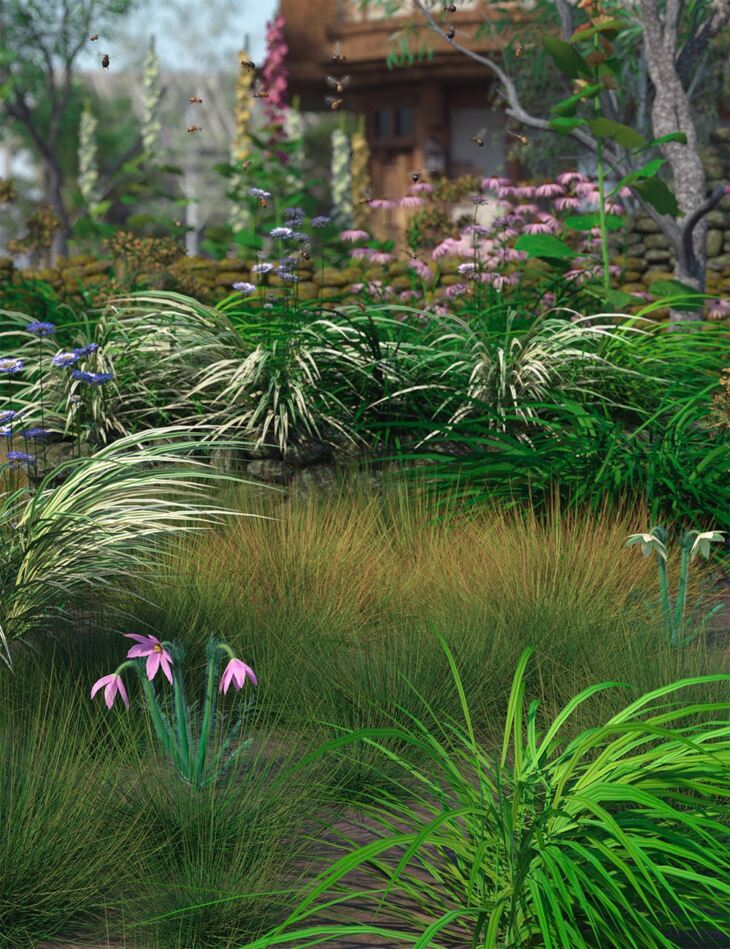 Ornamental Grass Plants and Groups for Daz Studio_DAZ3D下载站