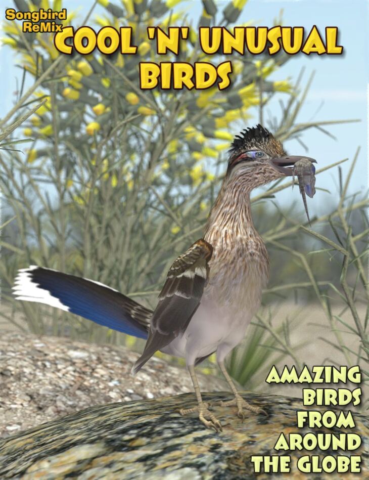 Songbird ReMix Cool & Unusual Birds_DAZ3D下载站