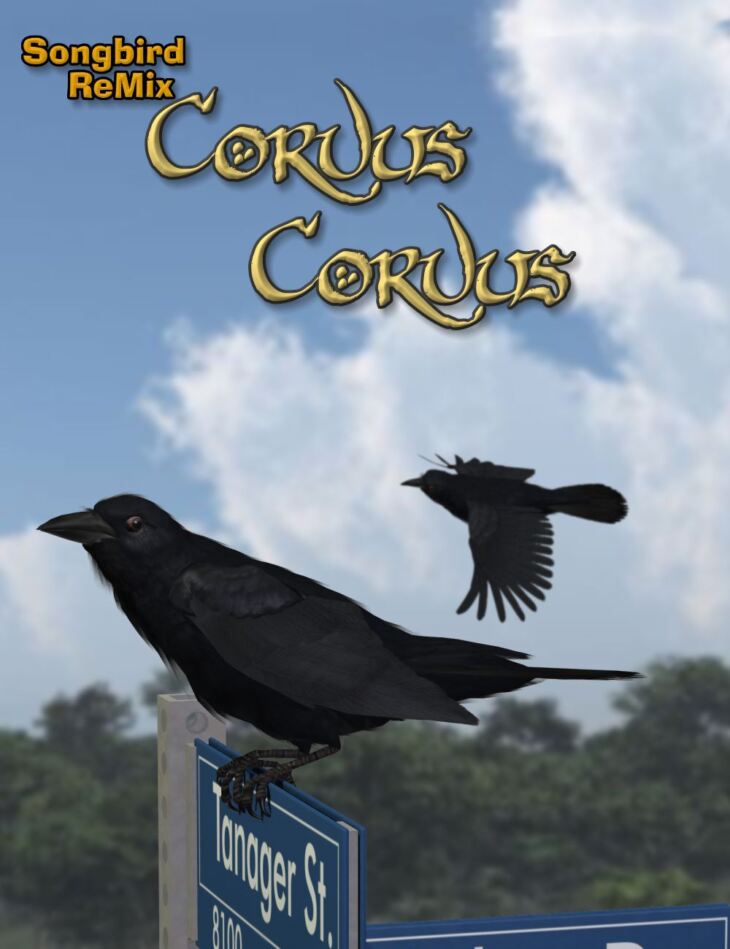 Songbird ReMix Corvus Corvus_DAZ3D下载站