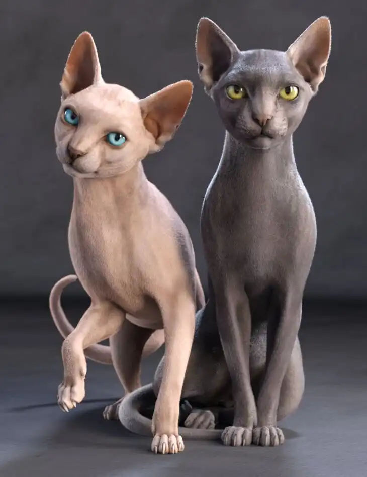 Sphynx HD for Cat Zeus_DAZ3DDL