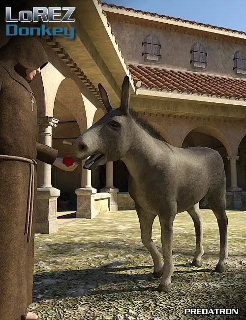LoREZ Donkey_DAZ3DDL