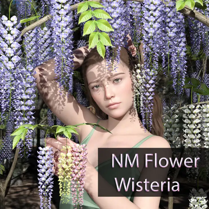 NM Flower Wisteria_DAZ3DDL