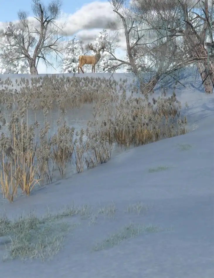 Frosty Plants – Low Res Winter Plants_DAZ3DDL