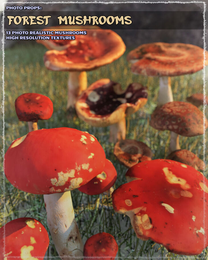 Photo Props: Forest Mushrooms_DAZ3DDL