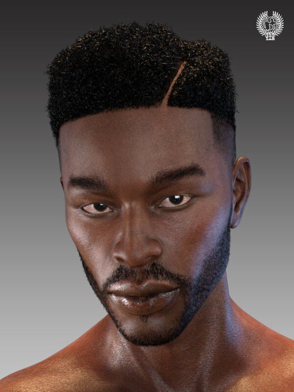 Top Fade Hair and Beard for Genesis 8 Male(s)_DAZ3DDL