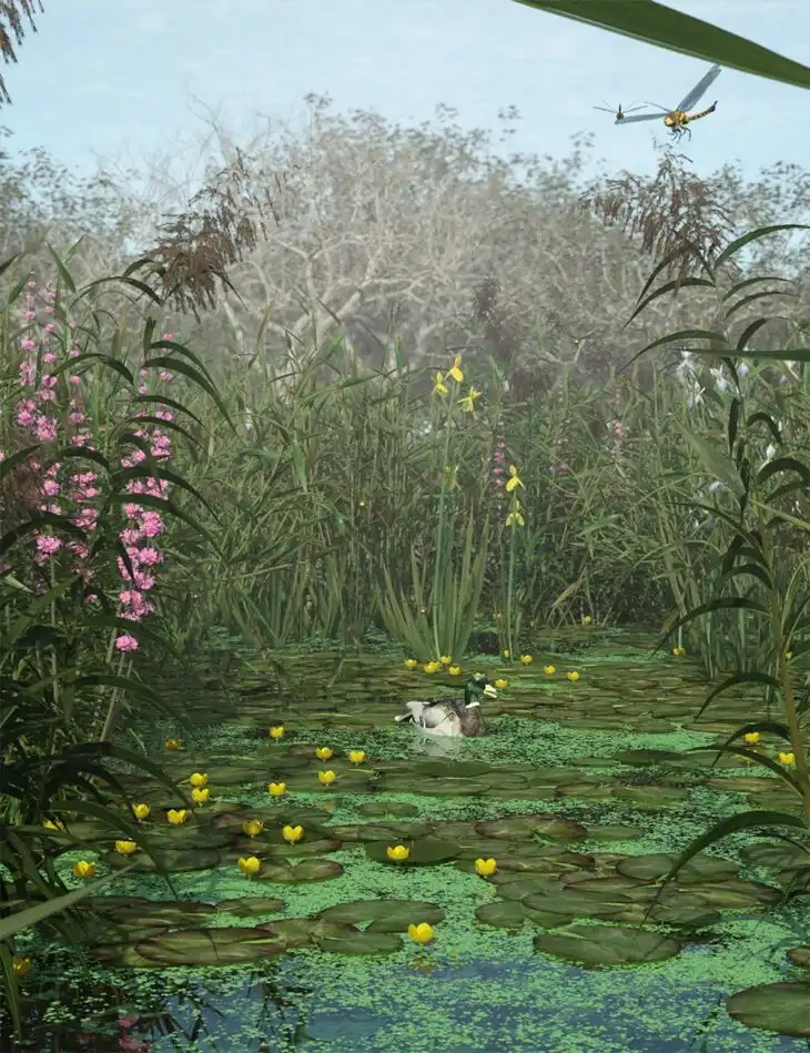 Wetlands Low Res Plants for Vol 2 – Flowering Plants_DAZ3DDL