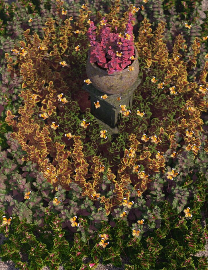 Fabulous Foliage – Low Res Coleus Plants_DAZ3D下载站