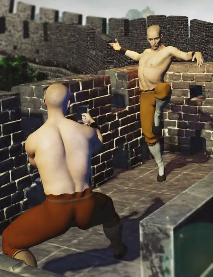 KungFu Poses for Genesis 8 Males_DAZ3D下载站