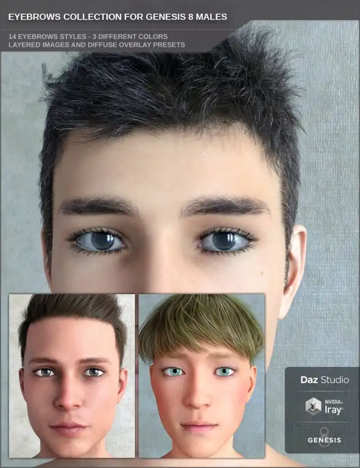 Eyebrows Collection for Genesis 8 Male(s)_DAZ3D下载站