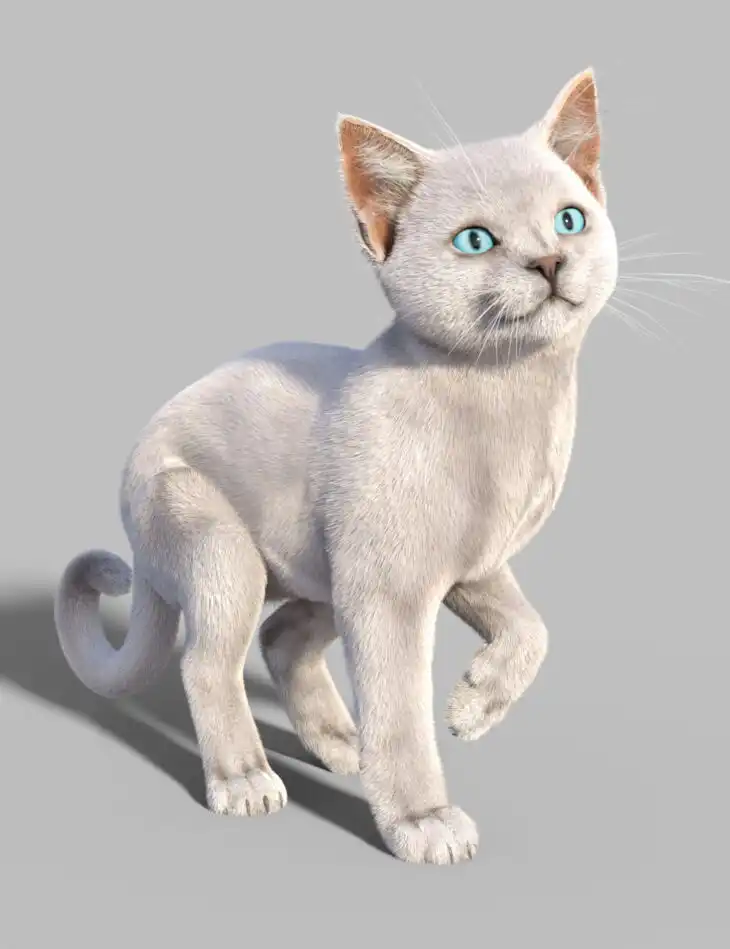 Kitten Mars_DAZ3D下载站