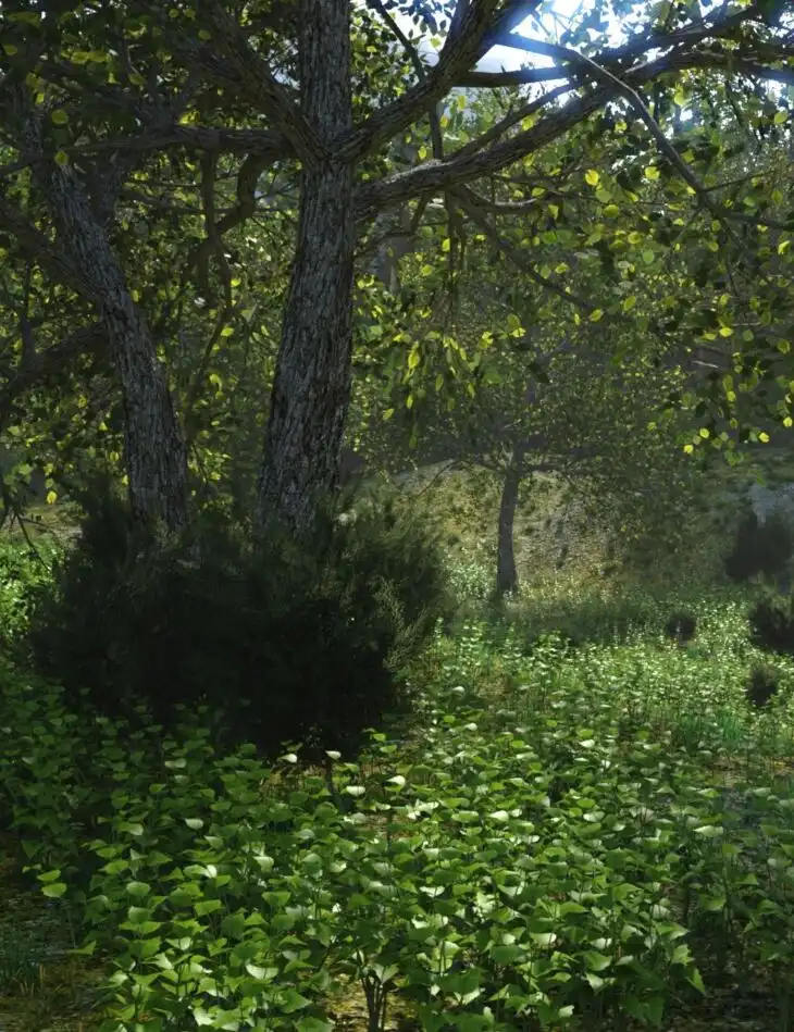 My Hills_DAZ3DDL