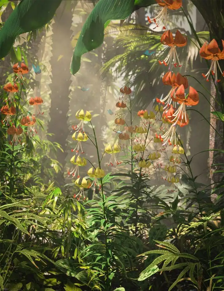 Turk’s Cap Lilies_DAZ3DDL