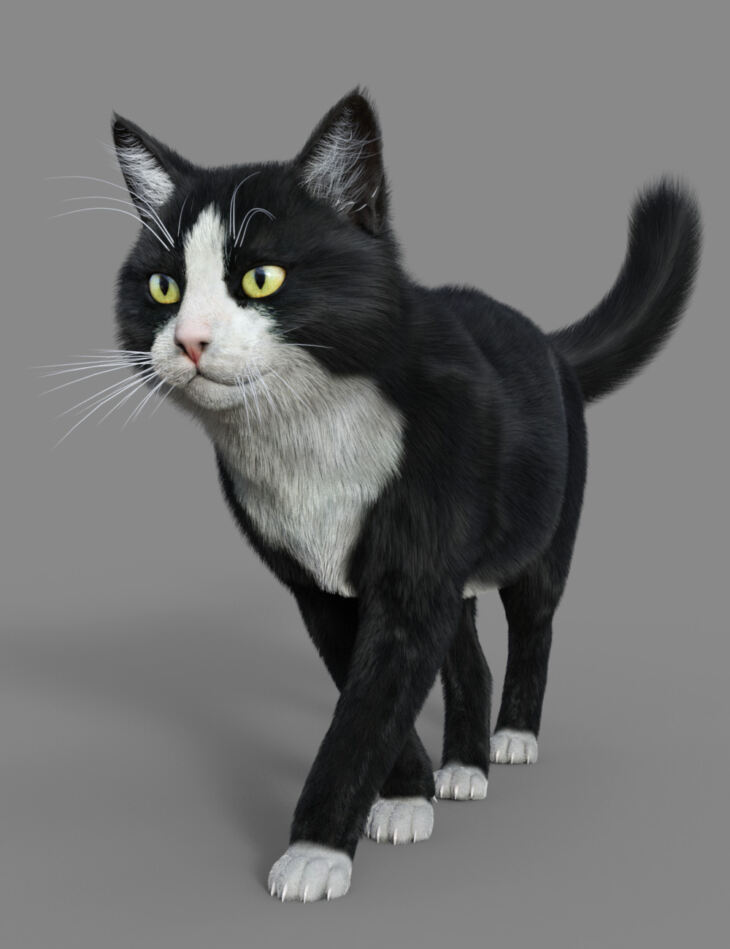 Tuxedo Cat for Mars_DAZ3D下载站