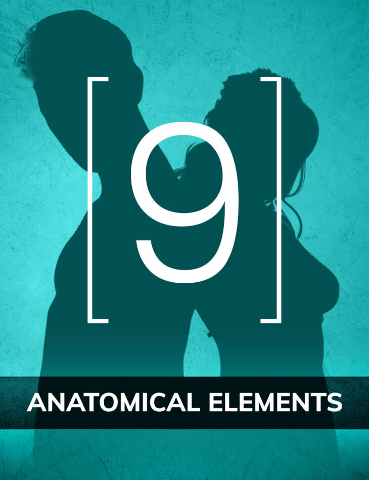 Genesis 9 Anatomical Elements_DAZ3D下载站