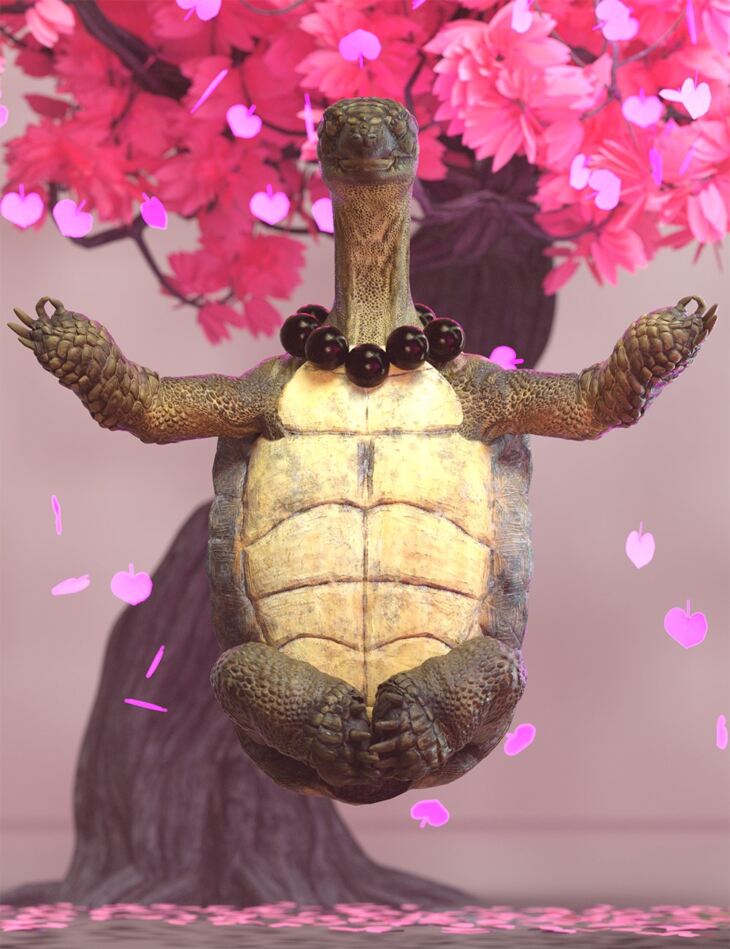 Master Turtle Hierarchical Poses for Storybook Turtle_DAZ3D下载站