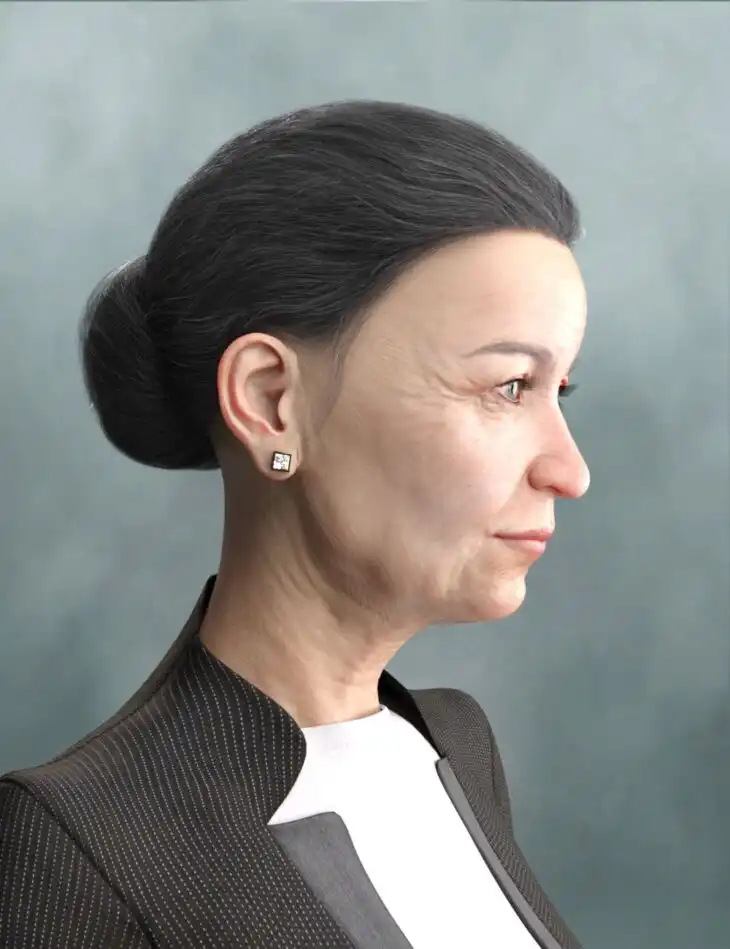Elegant Bun Hair for Genesis 8 and Genesis 3 Female(s)_DAZ3D下载站