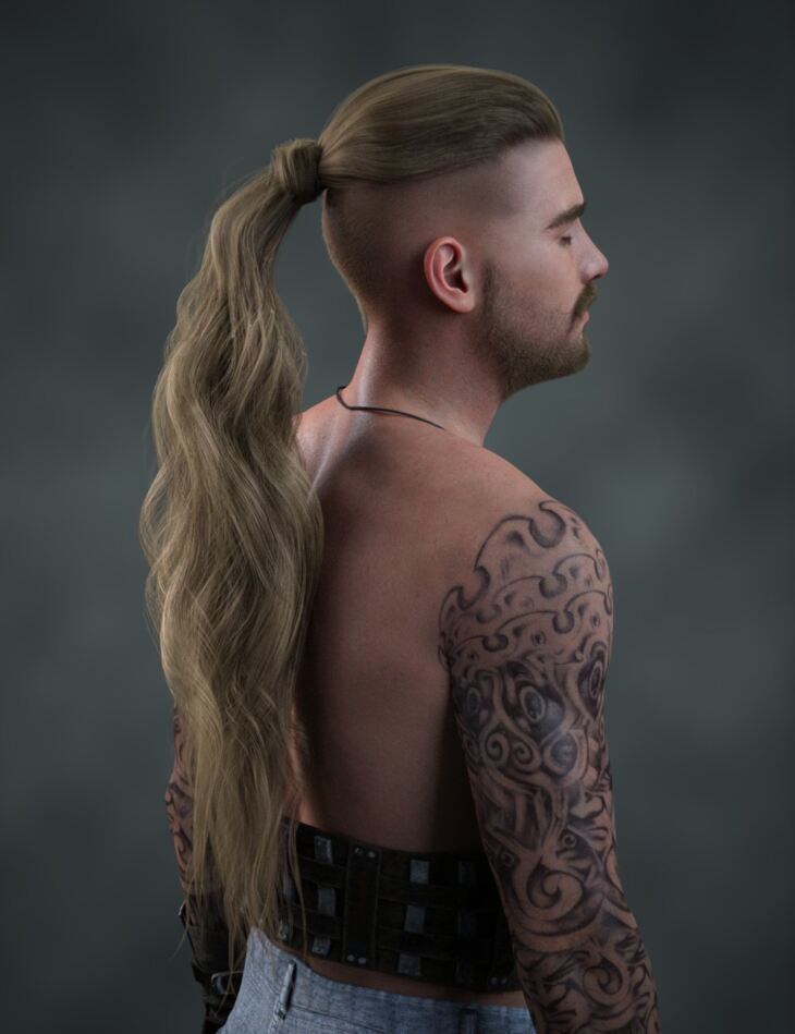 Garcia dForce Long Ponytail Set for Genesis 8, 8.1, and 9_DAZ3DDL