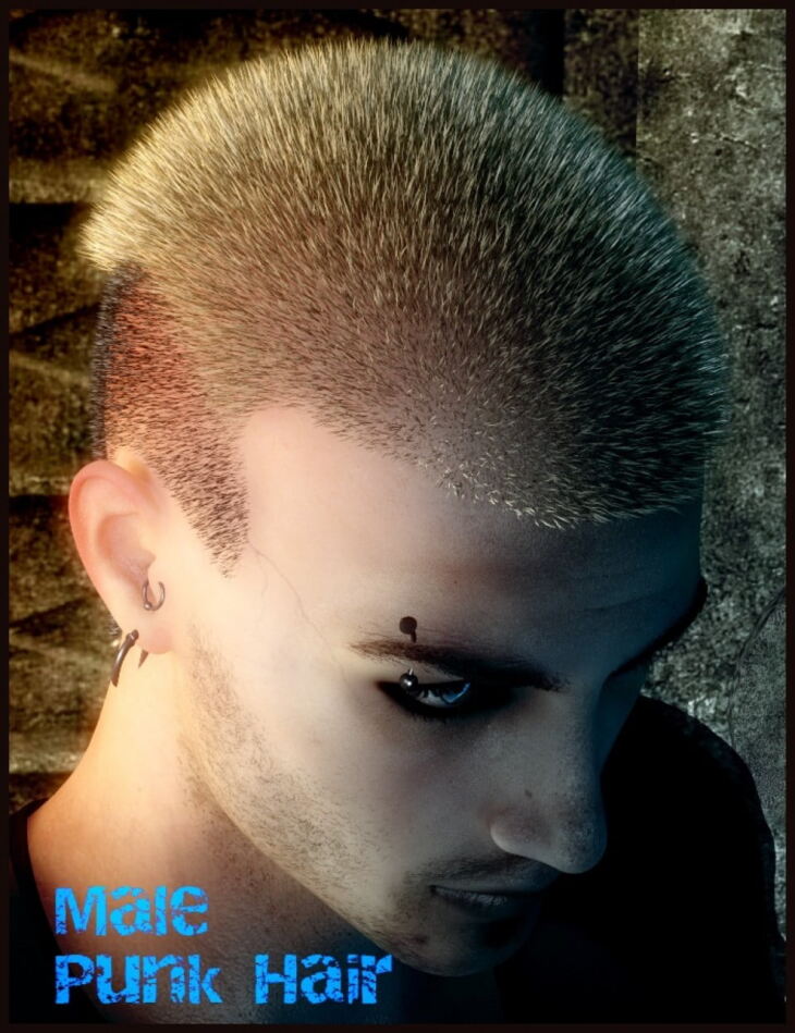 Male Punk Hair or Genesis 2 Male(s)_DAZ3D下载站