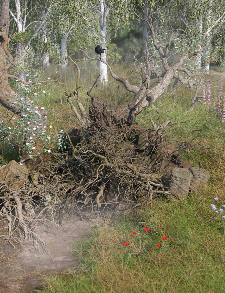 Tanglewood Stumpery – Fairy Tale Tree Stumps, Dead and Fallen Trees_DAZ3D下载站